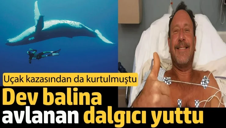 Dev balina avlanan dalgıcı yuttu. 40 saniye kadar balinanın ağzında sıkışıp kaldı. Dalgıç daha önce Uçak kazasından da kurtulmuştu