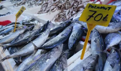 Karadeniz’de palamut bolluğu: Tezgahlar doldu