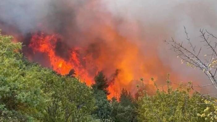 Bursa’da ormanlık alanda yangın, karadan ve havadan söndürme çalışmaları yapılıyor