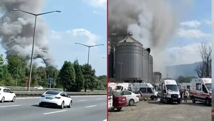 Son dakika… Sakarya’da fabrikada patlama! Yaralılar var