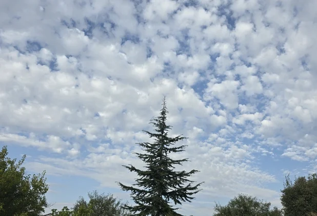 Elazığ’da gökyüzüne bakanlar sirrokümülüs bulutlarının yansıttığı manzaraya inanamadı.