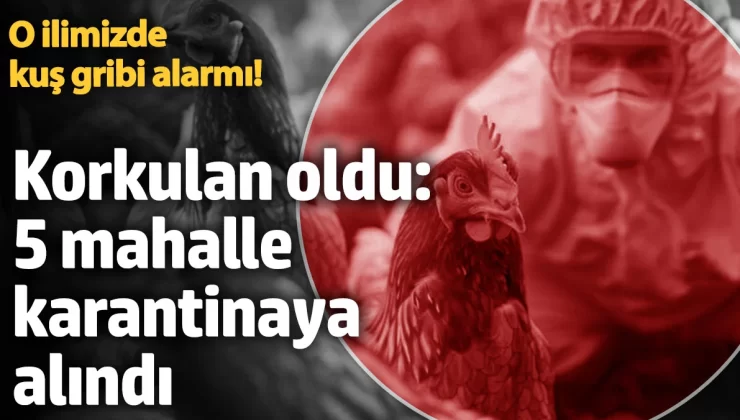 Eskişehir’de kuş gribi alarmı! 5 mahalle karantinaya alındı