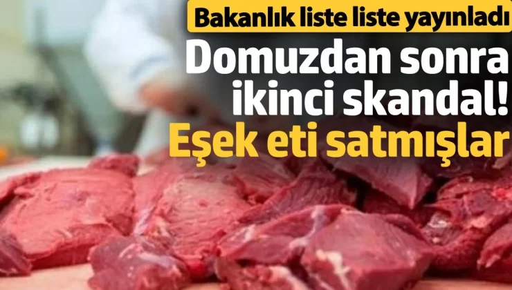 Domuz etinden sonra ikinci skandal! Eşek eti satmışlar