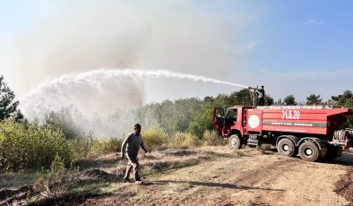 Hatay ormanı saatlerdir yanıyor